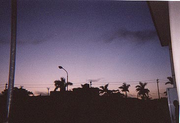 Sunrise and palmtrees