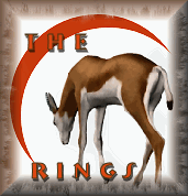 Rings  Button