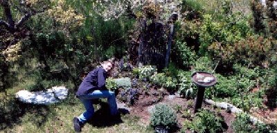 in Chris and David's garden, Wellfleet, Cape Cod