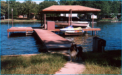 Bet you can't spot the duck poop on the deck