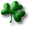 shamrock