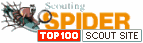 top 100