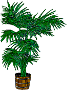 dl_tree18