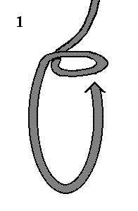 Bowline1.gif (2527 bytes)