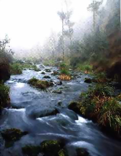 Hermoso valle con aguas frisimas