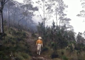 Ultimo trayecto antes del Pico