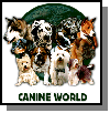 Canine World! Visit Them