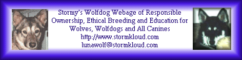 Stormy's Wolfdog site