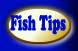 Fish Tips

