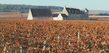 Chteau du Clos de Vougeot