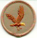 [Falcon Patrol Patch]