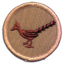 [Roadrunner Patrol Patch]