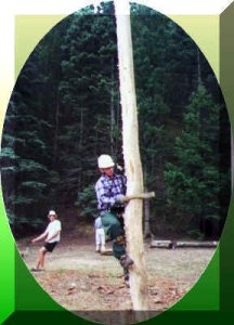 Spar Pole Climbing