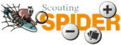 Scouting Spider Webring