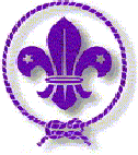 World Scout Logo