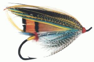 The Silver Doctor-a mixed wing salmon fly 10Kb