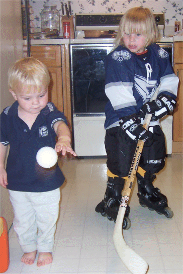 Kitchen Hockey