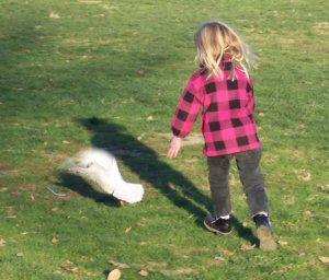 Robyn chasing pigeons