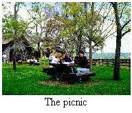 Picnic