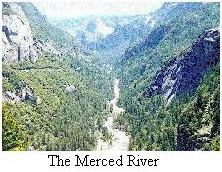 The Merced River