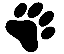 Tiger Paw