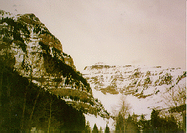 Looking up at Roberts Horn