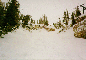 Bent Tree Chute