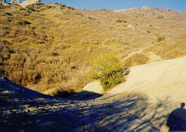 Crossroads to Movie Road or Jacobs Ladder