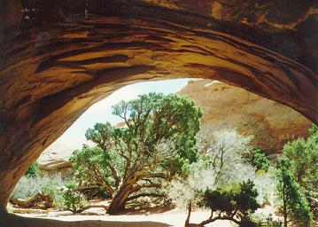 Navajo Arch