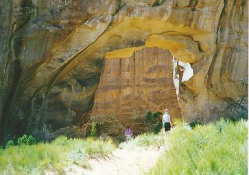 Pine Tree Arch