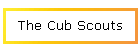 The Cub Scouts