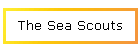 The Sea Scouts