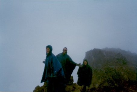 Mike, Dan and Steve NoBuz Olson - The Boys On Topof  Uncompadre Peak