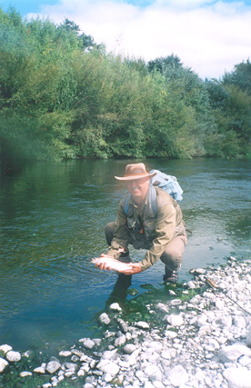 Local waters, summer 1999-2000