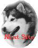 Next Mal Site