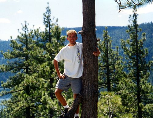 stuck in a tree on donner pass, northern california