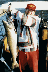 Columbia River Salmon