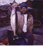 Chads Biggest, 25", 6# Walleye