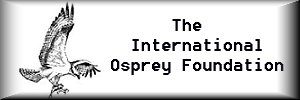 International Osprey Foundation