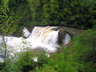 Medina Falls, Orleans Co., NY