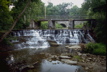 Paper Mill Falls, Livingston Co., NY