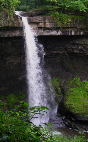 Carpenter's Falls, Cayuga Co., NY