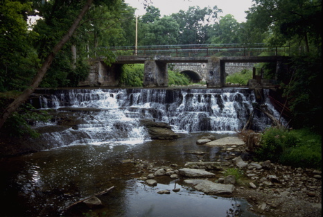 Paper Mill Falls, Livingston Co., NY