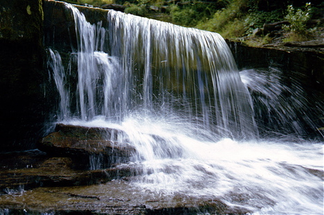 Sugar Creek Glen No. 7, Livingston Co., NY