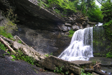 Cowsheds Falls, Cayuga Co., NY