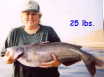 Alice with 25 lb.  Blue Catfish