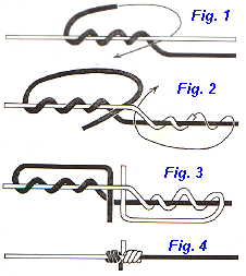 Blood Knot