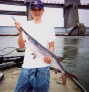 David P and Paddlefish