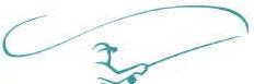 Flyfisherman Logo