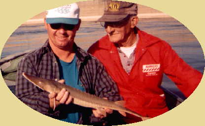 Jim-Tom With Shovelnose Sturgeon